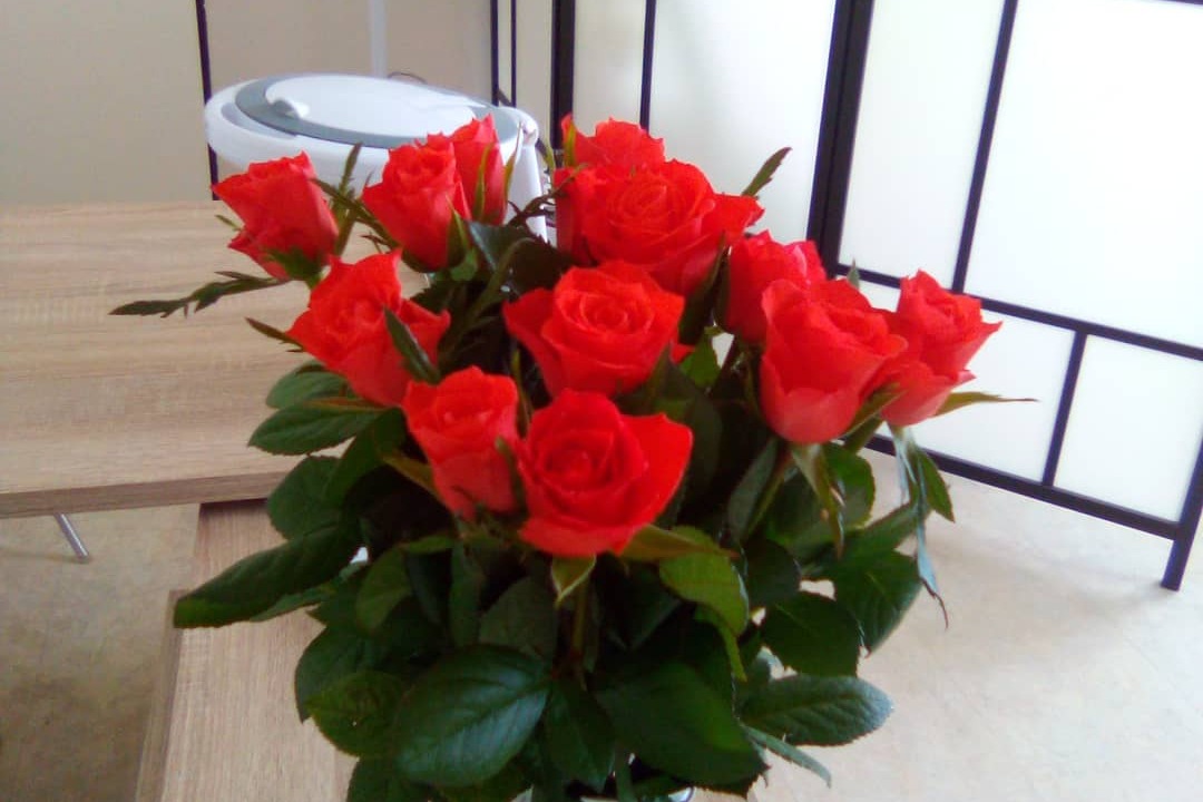 Mária Križanová MediPed